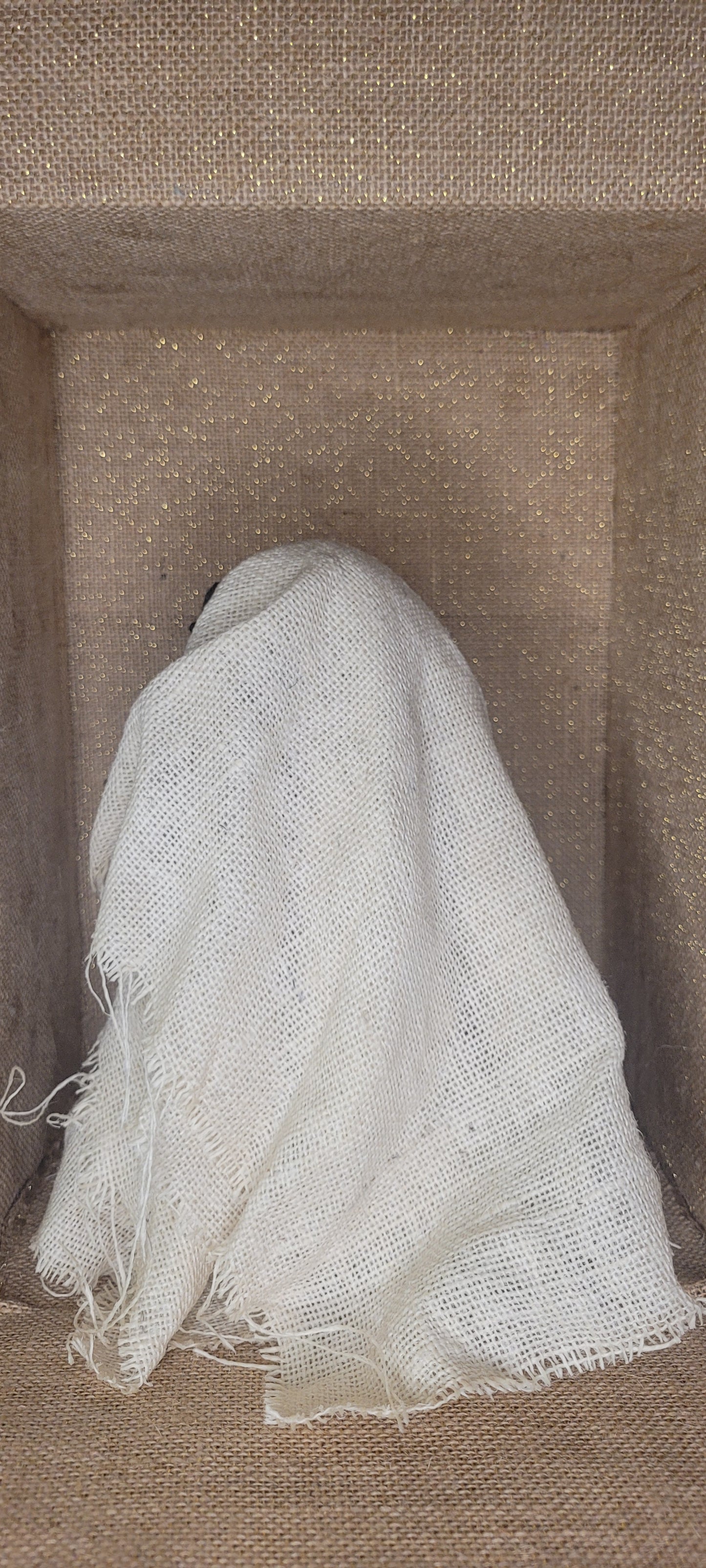 Glittered Rustic Ghost Luminary